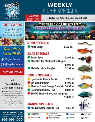 Big Al's (Hamilton) Weekly Specials July 25 to 31
