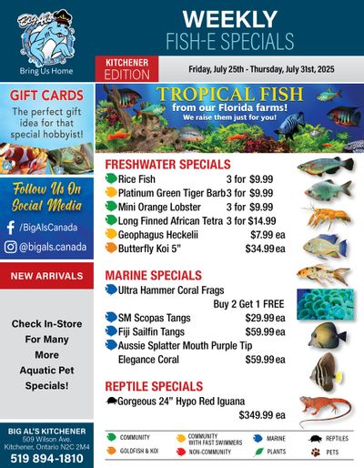 Big Al's (Kitchener) Weekly Specials July 25 to 31