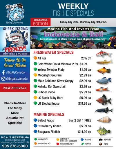 Big Al's (Mississauga) Weekly Specials July 25 to 31