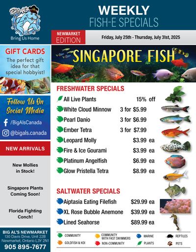 Big Al's (Newmarket) Weekly Specials July 25 to 31