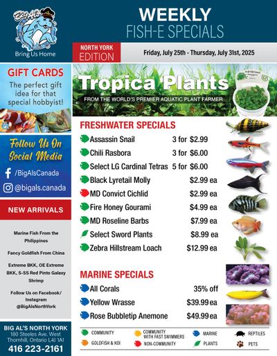 Big Al's (North York) Weekly Specials July 25 to 31