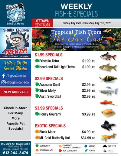 Big Al's (Ottawa) Weekly Specials July 25 to 31
