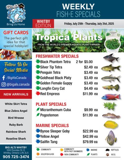 Big Al's (Whitby) Weekly Specials July 25 to 31