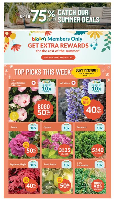 Lakeside Garden Gallery Flyer August 1 to 7