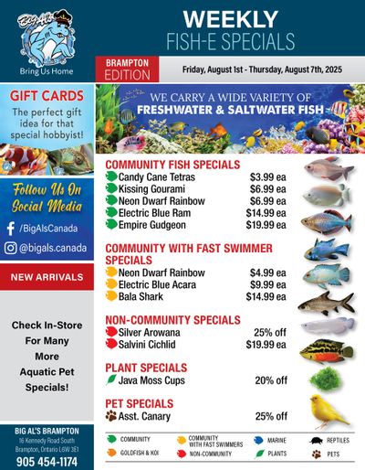 Big Al's (Brampton) Weekly Specials August 1 to 7