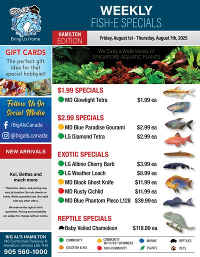 Big Al's (Hamilton) Weekly Specials August 1 to 7