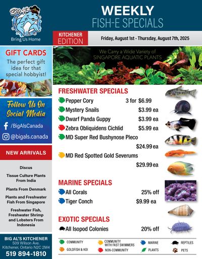 Big Al's (Kitchener) Weekly Specials August 1 to 7