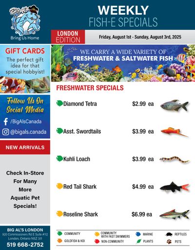 Big Al's (London) Weekend Specials August 1 to 3