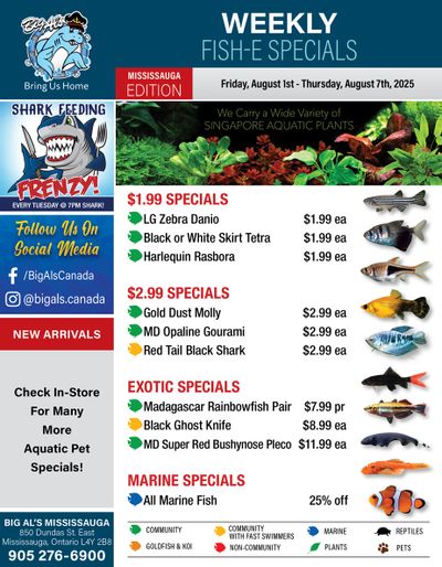 Big Al's (Mississauga) Weekly Specials August 1 to 7