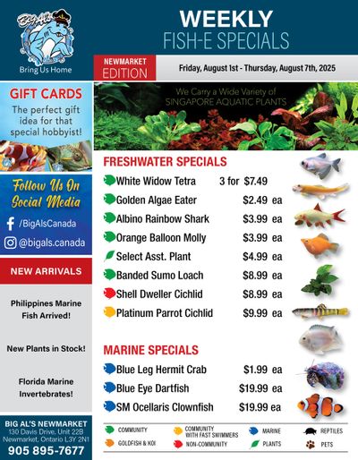 Big Al's (Newmarket) Weekly Specials August 1 to 7