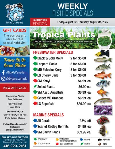 Big Al's (North York) Weekly Specials August 1 to 7