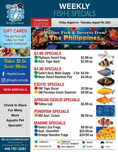 Big Al's (Scarborough) Weekly Specials August 1 to 7