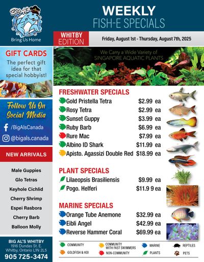 Big Al's (Whitby) Weekly Specials August 1 to 7