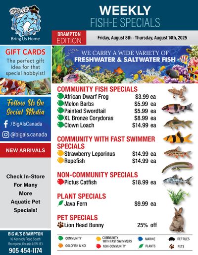 Big Al's (Brampton) Weekly Specials August 8 to 14
