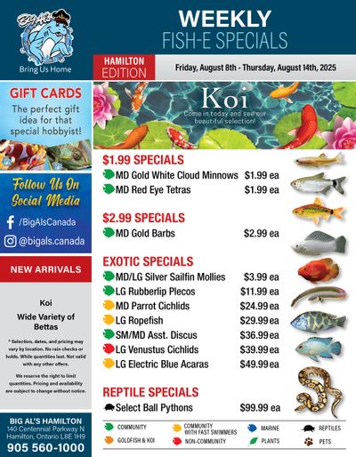 Big Al's (Hamilton) Weekly Specials August 8 to 14