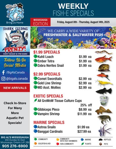 Big Al's (Mississauga) Weekly Specials August 8 to 14