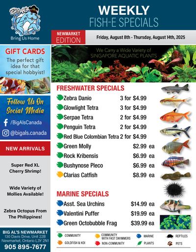Big Al's (Newmarket) Weekly Specials August 8 to 14