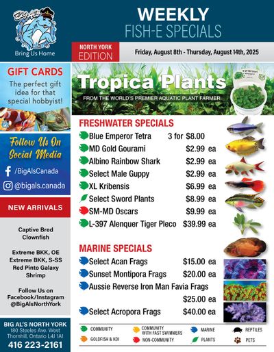 Big Al's (North York) Weekly Specials August 8 to 14
