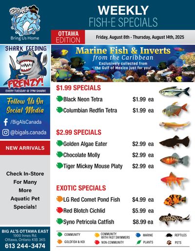 Big Al's (Ottawa) Weekly Specials August 8 to 14