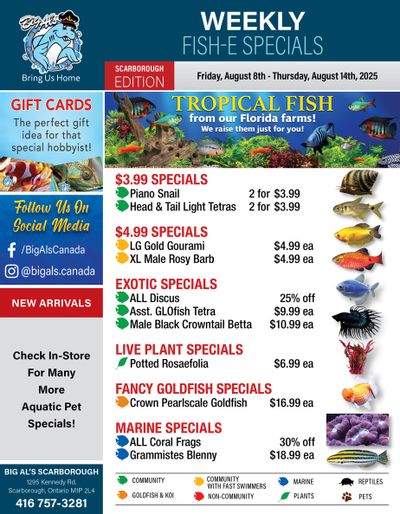 Big Al's (Scarborough) Weekly Specials August 8 to 14