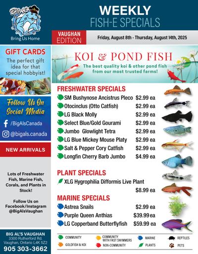 Big Al's (Vaughan) Weekly Specials August 8 to 14