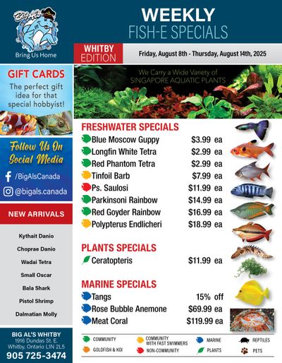 Big Al's (Whitby) Weekly Specials August 8 to 14