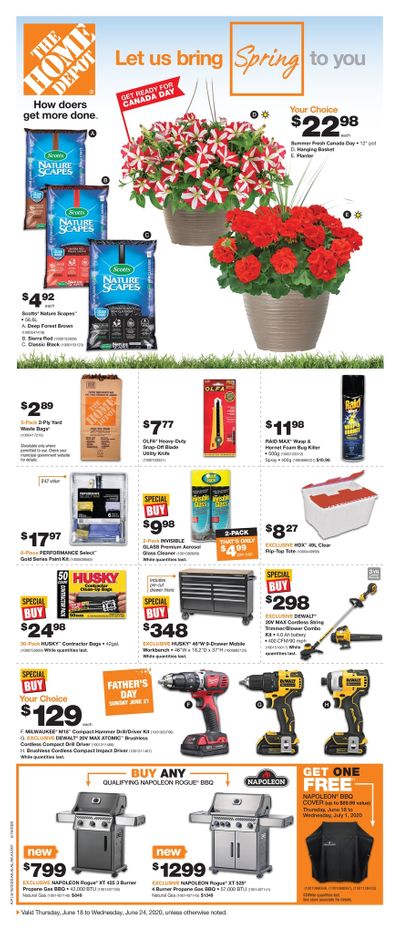 Home Depot (ON) Flyer June 18 to 24