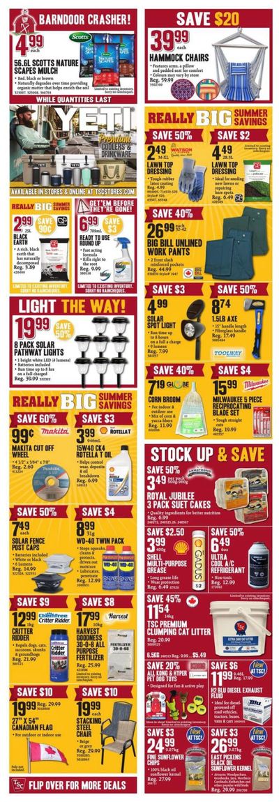 TSC Stores Flyer June 19 to 24