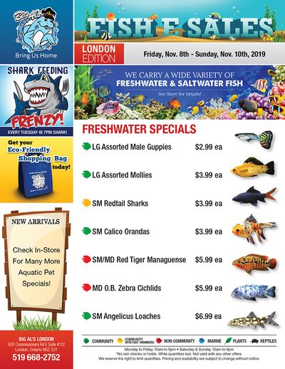 Big Al's (London) Weekend Specials November 8 to 10