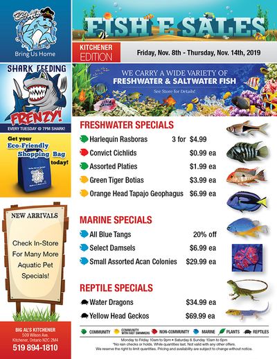 Big Al's (Kitchener) Weekly Specials November 8 to 14 Big Al's (Kitchener) Weekly Specials November 8 to 14