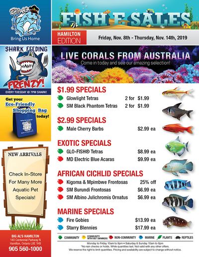 Big Al's (Hamilton) Weekly Specials November 8 to 14