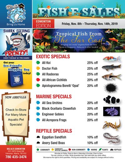 Big Al's (Edmonton) Weekly Specials November 8 to 14