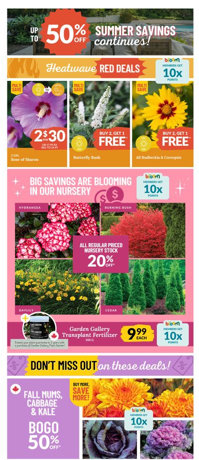 Lakeside Garden Gallery Flyer August 15 to 21