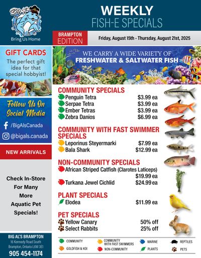 Big Al's (Brampton) Weekly Specials August 15 to 21