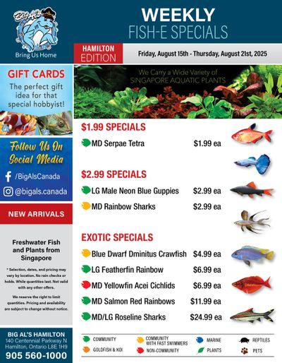 Big Al's (Hamilton) Weekly Specials August 15 to 21