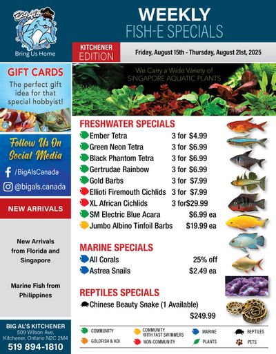 Big Al's (Kitchener) Weekly Specials August 15 to 21