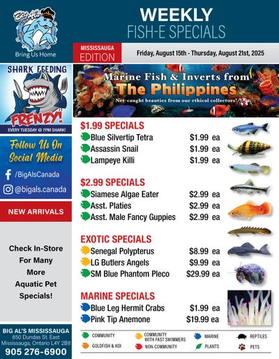 Big Al's (Mississauga) Weekly Specials August 15 to 21
