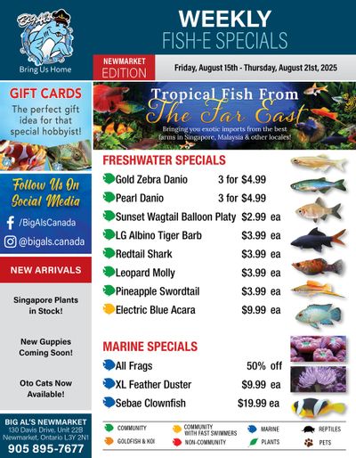 Big Al's (Newmarket) Weekly Specials August 15 to 21