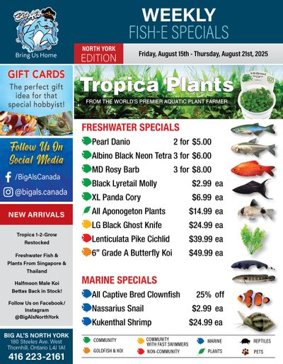 Big Al's (North York) Weekly Specials August 15 to 21