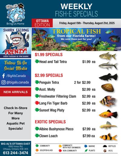 Big Al's (Ottawa) Weekly Specials August 15 to 21
