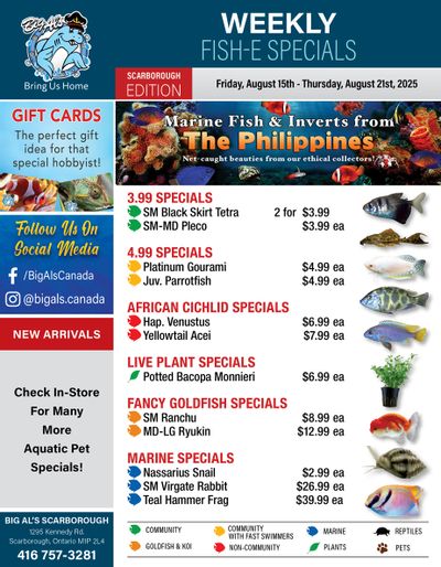 Big Al's (Scarborough) Weekly Specials August 15 to 21