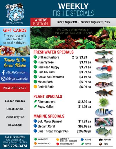Big Al's (Whitby) Weekly Specials August 15 to 21