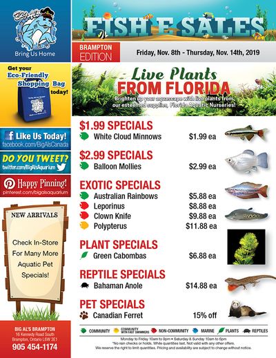 Big Al's (Brampton) Weekly Specials November 8 to 14