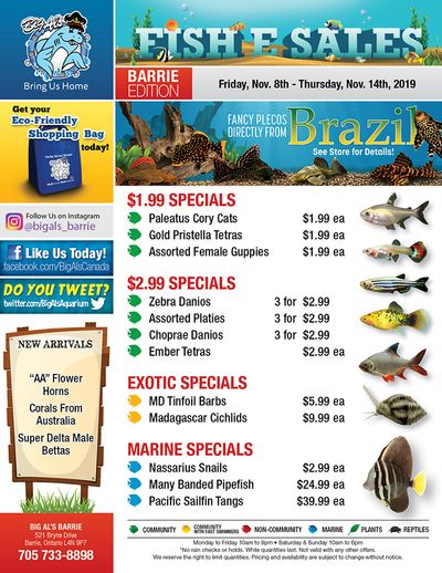 Big Al's (Barrie) Weekly Specials November 8 to 14