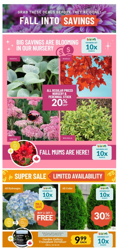 Lakeside Garden Gallery Flyer August 22 to 28