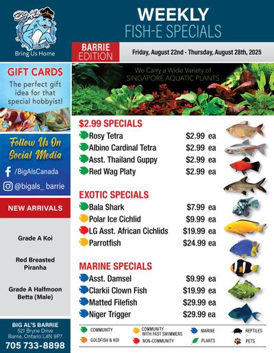Big Al's (Barrie) Weekly Specials August 22 to 28