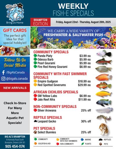 Big Al's (Brampton) Weekly Specials August 22 to 28