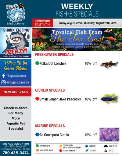 Big Al's (Edmonton) Weekly Specials August 22 to 28