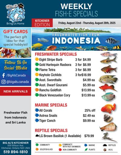 Big Al's (Kitchener) Weekly Specials August 22 to 28