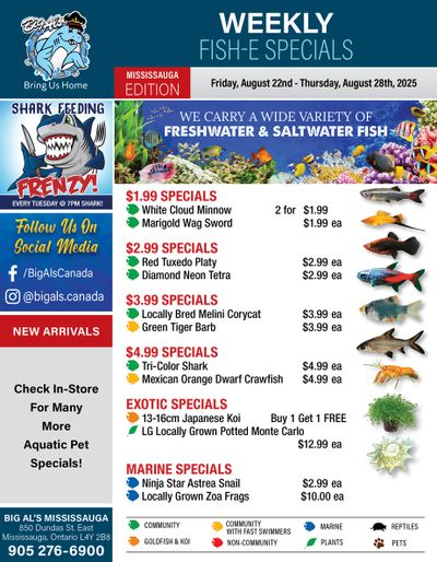 Big Al's (Mississauga) Weekly Specials August 22 to 28